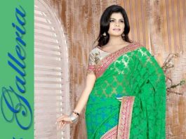 Indian Saree in Pakistan 2024 Latest Sarees Fashion for Women