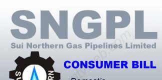 Online SNGPL Gas Bill Download Consumer Duplicate Copy