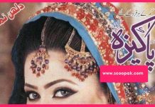 Monthly Pakeeza Digest 2024 Free Download in Urdu PDF