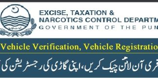 Excise and Taxation Punjab Vehicle Verification Online by CNIC