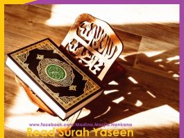 Surah Yasin Online Read Text Download Full PDF