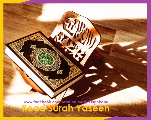 Surah Yasin Online Read Text Download Full PDF 