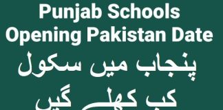 Punjab Schools Opening Pakistan Date 2024 Notification