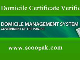 Online Domicile Certificate Nadra Check Punjab