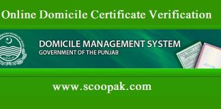 Online Domicile Certificate Nadra Check Punjab