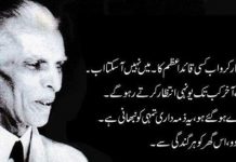 25 December Quaid e Azam Whatsapp Status 2024 Wallpapers Download