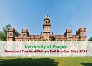 Download Practical/Written Roll No Slip 2021 PU