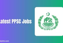 Latest PPSC Jobs in January 2025