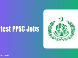 Latest PPSC Jobs in January 2025