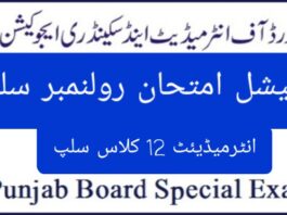 Bise Lahore 12th Class Roll Number Slip 2024 Special Exam Online