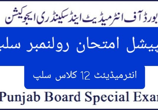 Bise Lahore 12th Class Roll Number Slip 2024 Special Exam Online