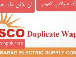 Online Hesco Bill Check Download PDF Hyderabad Electric Supply Company