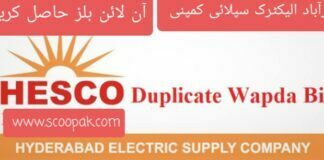 Online Hesco Bill Check Download PDF Hyderabad Electric Supply Company