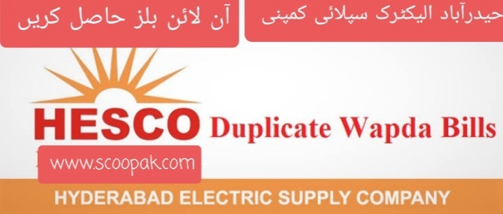 Check Hesco Online Bill Duplicate Electricity Bill Download PDF