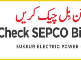 Sepco Online Bills February 2024 Sukkur Electricity Duplicate Bill