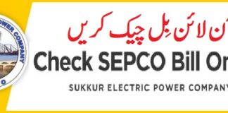 Sepco Online Bills February 2024 Sukkur Electricity Duplicate Bill