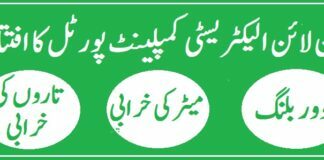 Wapda Online Electricity Complaint Portal inaugurated