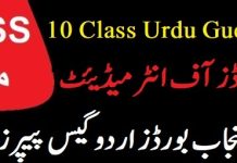 Urdu Guess Paper Class 10 2024 PDF Download Online