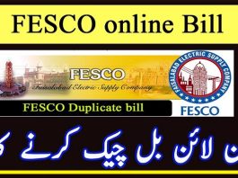 Fesco Online Bill Check 2024 Download Duplicate Print it PDF