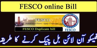 Fesco Online Bill Check 2024 Download Duplicate Print it PDF