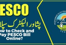 PESCO Online Bill check by name for Peshawar Electricity Company