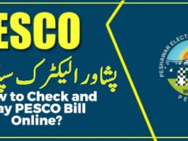 PESCO Online Bill check by name for Peshawar Electricity Company