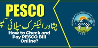 PESCO Online Bill check by name for Peshawar Electricity Company