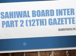 Sahiwal Board Inter Part 2 (12th) Result Gazette 2022 PDF