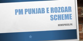 PM Punjab e Rozgar Scheme