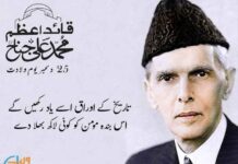 25 December Quaid-e-Azam Day Poetry