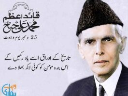 25 December Quaid-e-Azam Day Poetry