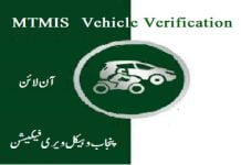 MTMIS Lahore Vehicle Verification Online Calculator