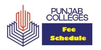 Punjab College Fee Structure 2024 Pre-Medical, Pre-Engineering, ICS, MDCAT, ECAT, NTS