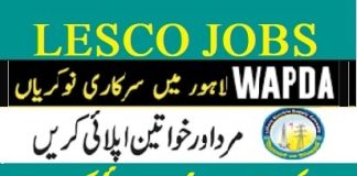 Lesco ALM Jobs 2024 Online Apply Last Date