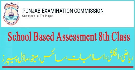 School Based Assessment 2024 8th Class Model Paper Download