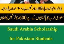 HEC Saudi Arabia Scholarship 2024 for Pakistani Students