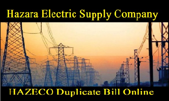 HAZECO Bill Check Online Hazara Electric Supply Company