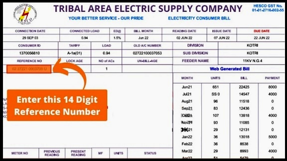 Tesco Online Bill 2024 Duplicate Bill Download in PDF