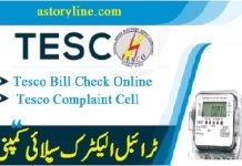 Tesco Online Bill 2024 Duplicate Bill Download in PDF