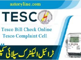 Tesco Online Bill 2024 Duplicate Bill Download in PDF