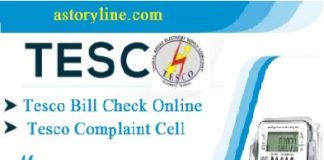 Tesco Online Bill 2024 Duplicate Bill Download in PDF