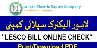 LESCO Bill Check Online 2024 Download Duplicate Electricity Bill