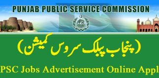 PPSC Job 2024 Advertisement Online Apply