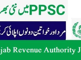 Punjab Revenue Authority Jobs Apply Online