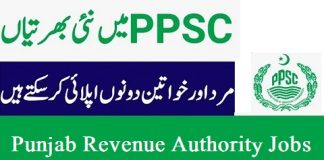 Punjab Revenue Authority Jobs Apply Online