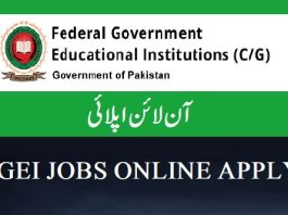 FGEI Jobs 2024 Online Apply Federal Government Educational Institutions