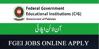 FGEI Jobs 2024 Online Apply Federal Government Educational Institutions