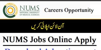 Nums Jobs 2024 Apply Online Last Date