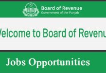 Board of Revenue Punjab Jobs Online Apply before last date