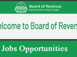 Board of Revenue Punjab Jobs Online Apply before last date